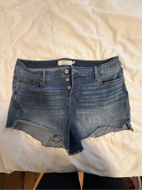 Torrid Plus Size Distressed Jean Short Shorts